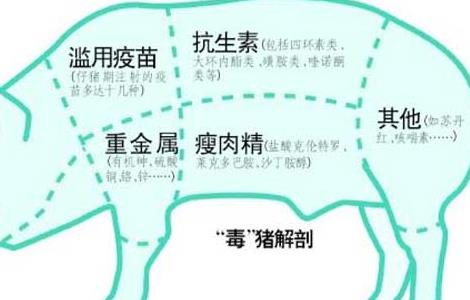 猪饲料中添加瘦肉精的危害