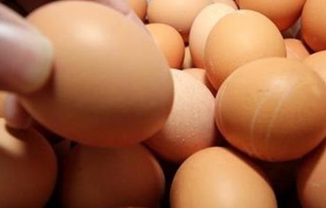 如何提高 鸡蛋蛋壳质量
