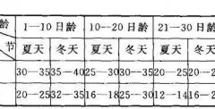 雏鸭的饲养管理注意事项