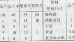 草饲料饲喂绵羊的方法