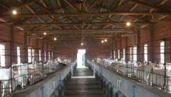 羊养殖场常用消毒药物和方法