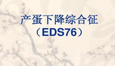 实验室诊断