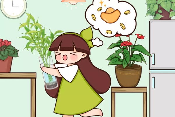 新年必买的10种花,一个月内要涨价,赶紧买! 新年必买的10种花,一个月内要涨价,赶紧买!