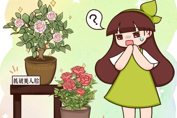 被名字耽误的花,叫起来太难听,开花却很惊艳! 被名字耽误的花,叫起来太难听,开花却很惊艳!