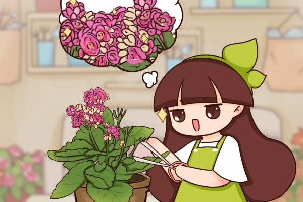 长寿蟹爪兰…花开败抓紧剪,20天又冒满头花苞! 长寿蟹爪兰…花开败抓紧剪,20天又冒满头花苞!