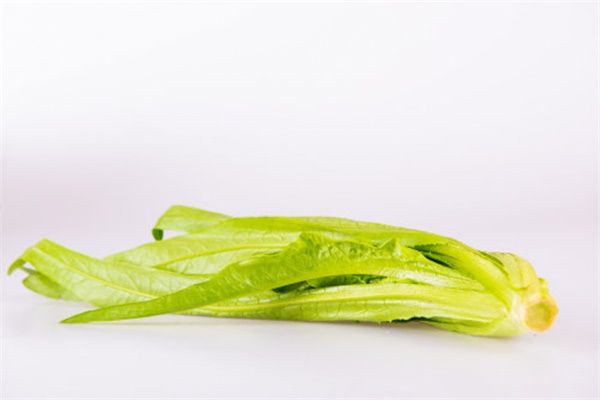 12月,种点火锅菜,想吃不用出门买! 12月,种点火锅菜,想吃不用出门买!