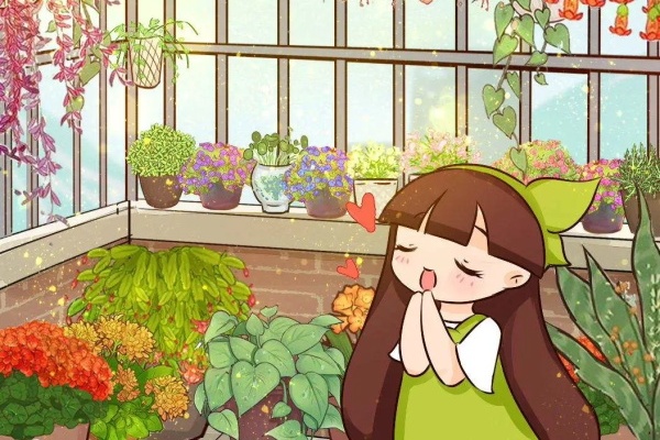 50种花,天冷冒花苞,从冬开到春! 50种花,天冷冒花苞,从冬开到春!