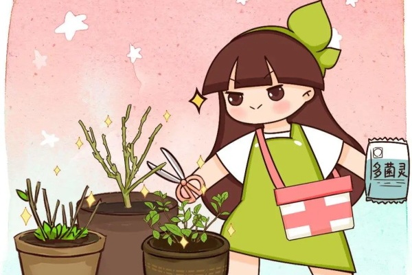 7种花狠心剪,撸光叶、剃光头,冬天冻不死! 7种花狠心剪,撸光叶、剃光头,冬天冻不死!