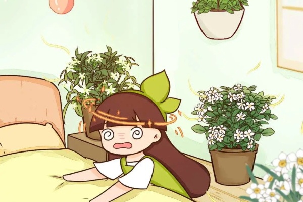 10种花家里慎养,开花有股怪味,闻久了头晕! 10种花家里慎养,开花有股怪味,闻久了头晕!
