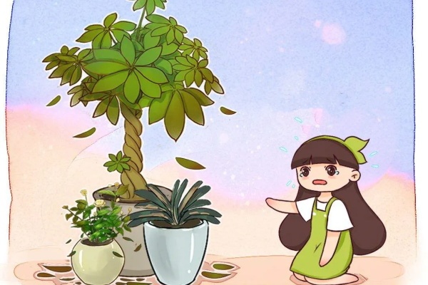 10种花,一降温就黄叶,赶紧换个地方养! 10种花,一降温就黄叶,赶紧换个地方养!