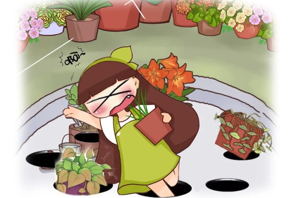刚买的花,3天就死,花市套路真的多! 刚买的花,3天就死,花市套路真的多!