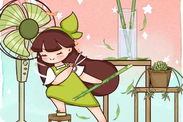 修剪时间到了,抓紧给花剪一剪,满盆都冒新叶子! 修剪时间到了,抓紧给花剪一剪,满盆都冒新叶子!