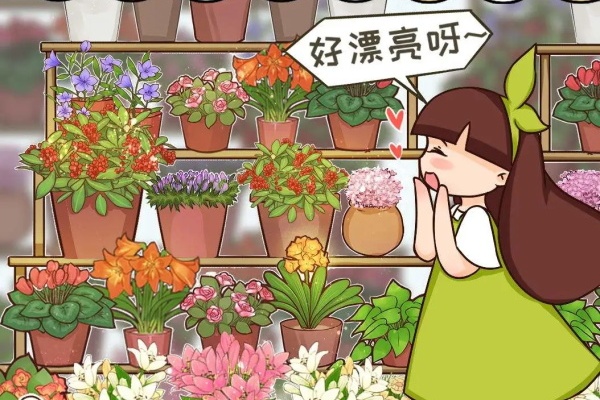 公认的“必死花”,买过无数次,从没养活过! 公认的“必死花”,买过无数次,从没养活过!