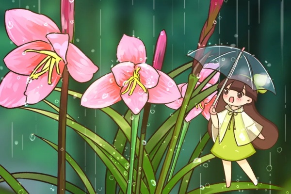 这花就是受虐狂,越下雨越开花,不怕风吹雨打,比白菜长得快!! 这花就是受虐狂,越下雨越开花,不怕风吹雨打,比白菜长得快!!