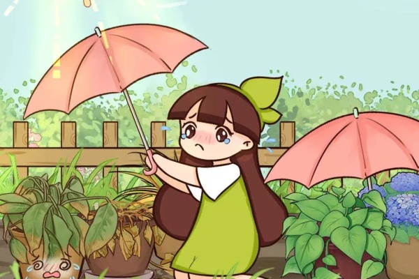 7种“休眠”花,水越浇越少,夏天死不了! 7种“休眠”花,水越浇越少,夏天死不了!