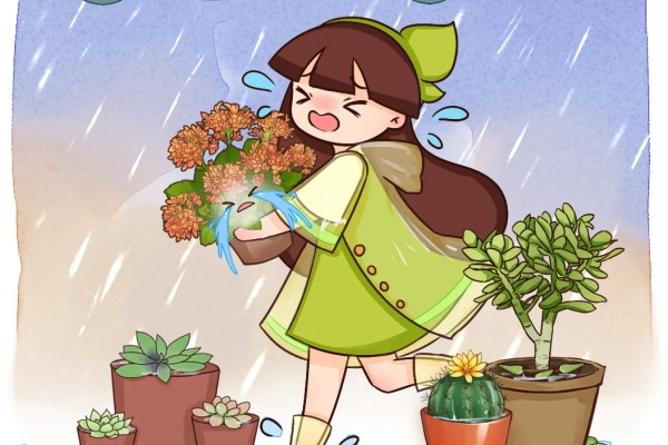 10种花,最怕下雨天,淋完雨就死! 10种花,最怕下雨天,淋完雨就死!