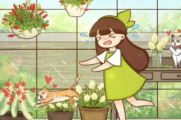 这花不施肥、不打药,旱上2个月,立马疯狂爆花! 这花不施肥、不打药,旱上2个月,立马疯狂爆花!