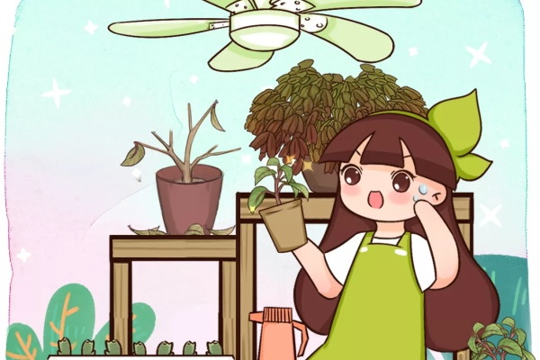 这花夏天最容易死,赶紧扦插备份,死了也不心疼! 这花夏天最容易死,赶紧扦插备份,死了也不心疼!