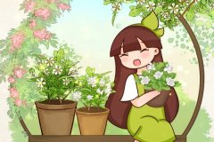 栀子花太难养？记住：别换盆，闷一闷，保证年年开花！