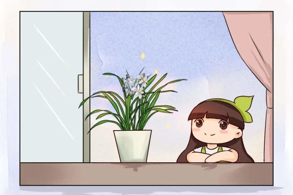 兰花怎么养?盆底埋点它,年年都开花! 兰花怎么养?盆底埋点它,年年都开花!
