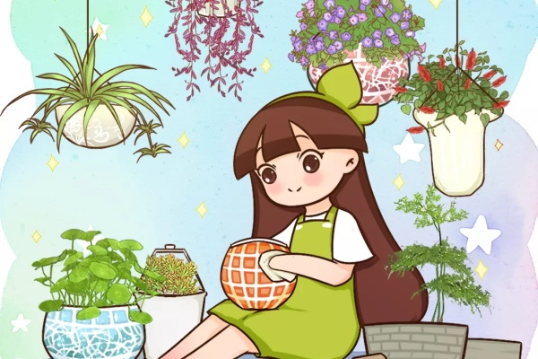 高价花盆扔一地,捡到手软,回家种花美炸了! 高价花盆扔一地,捡到手软,回家种花美炸了!