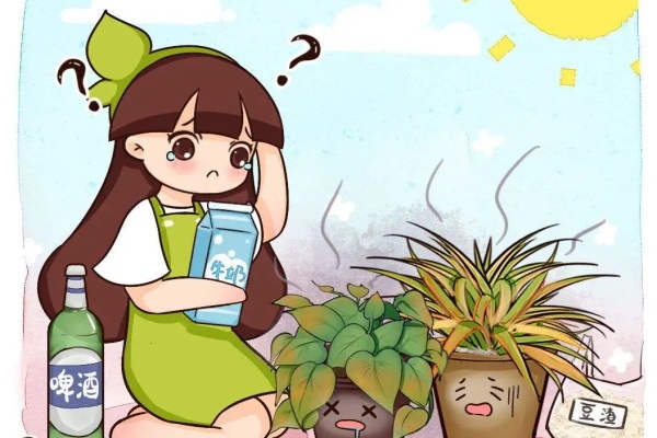 这水有“毒”,千万不能浇花,浇一盆死一盆! 这水有“毒”,千万不能浇花,浇一盆死一盆!