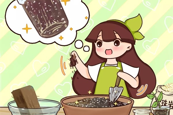 扦插就用它,保湿、保温,插上5天就生根! 扦插就用它,保湿、保温,插上5天就生根!