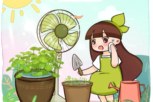 这10种花,天越热越扦插,3天冒出大白根! 这10种花,天越热越扦插,3天冒出大白根!