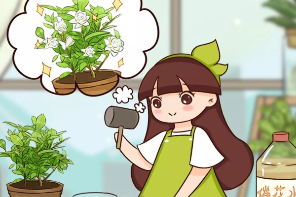 给花喷点催花水,3周冒100个花芽,春天疯狂开不停! 给花喷点催花水,3周冒100个花芽,春天疯狂开不停!