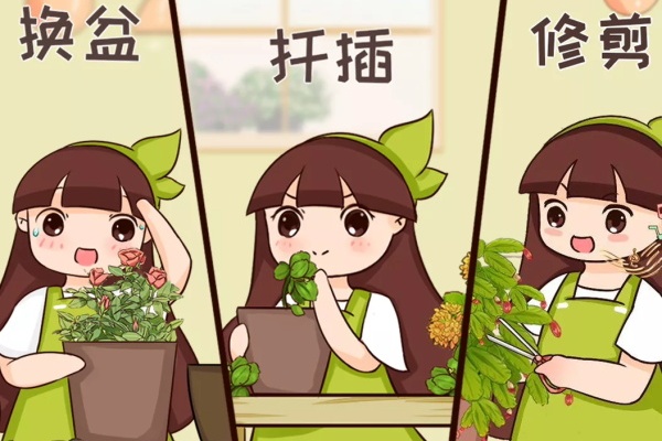 4月养花,这件事必须做,晚了再也不开花! 4月养花,这件事必须做,晚了再也不开花!