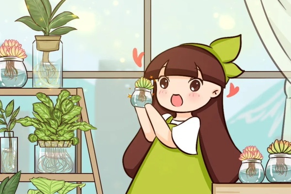 养不活的花,丢水里、干净卫生,3天冒新芽! 养不活的花,丢水里、干净卫生,3天冒新芽!