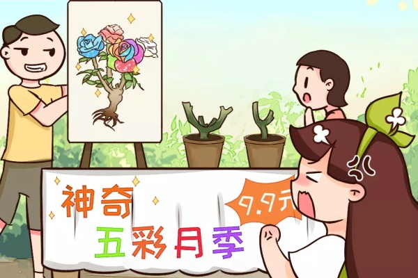 春天买花要注意,这花千万别买,都是骗人的! 春天买花要注意,这花千万别买,都是骗人的!
