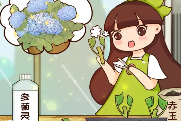 养这花能赚钱,枝条剁8段,每根都能活! 养这花能赚钱,枝条剁8段,每根都能活!