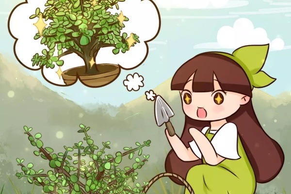 路边挖1棵马齿苋,2个月养成老桩,真值钱! 路边挖1棵马齿苋,2个月养成老桩,真值钱!