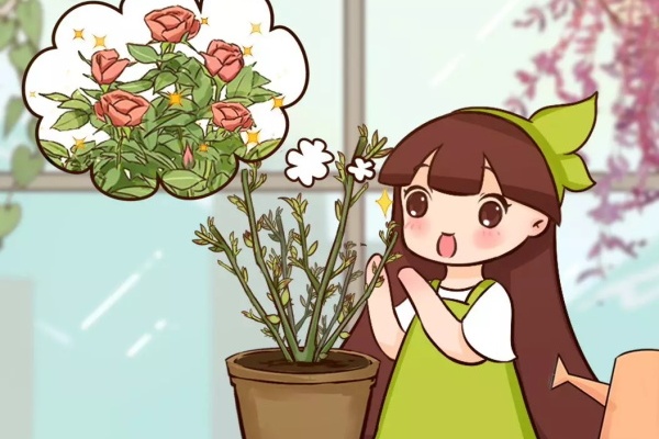 春天修剪正当时,撸叶、摘芽、剪光头,下狠手才开花! 春天修剪正当时,撸叶、摘芽、剪光头,下狠手才开花!