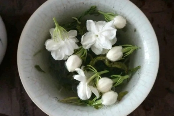 医生最爱的6种花,阳台养一盆,堪比小药箱! 医生最爱的6种花,阳台养一盆,堪比小药箱!