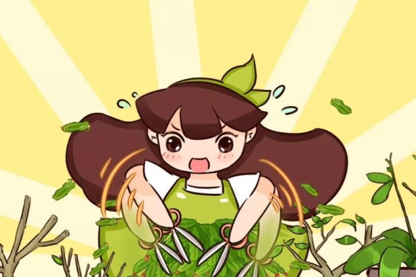 这花别瞎剪,小心越剪死越快! 这花别瞎剪,小心越剪死越快!