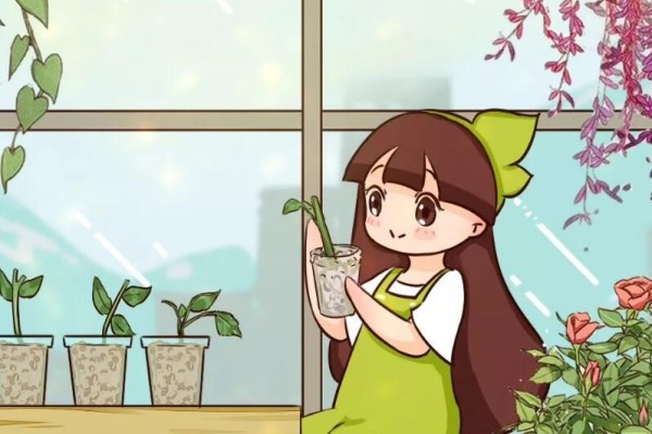 现在开始,这花要修剪、扦插,今年能变大户! 现在开始,这花要修剪、扦插,今年能变大户!