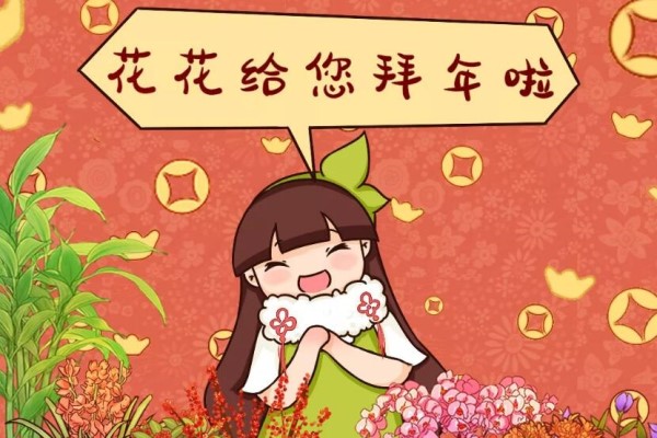 正月初一，过年好！带着花儿来拜年~