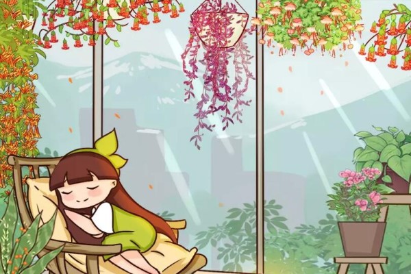 过年挂盆“灯笼花”,红红火火真喜庆,一盆开出上千朵! 过年挂盆“灯笼花”,红红火火真喜庆,一盆开出上千朵!