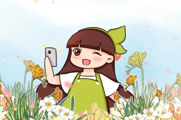 别让这花长太高,小心变成“韭菜”,再也不开花! 别让这花长太高,小心变成“韭菜”,再也不开花!