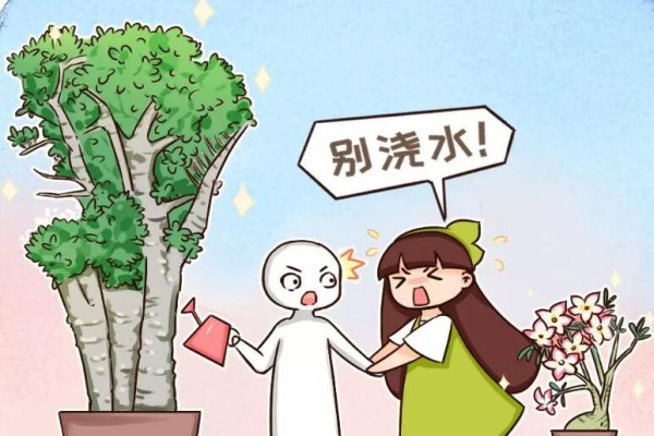 最耐旱的花,2个月不浇水,叶子反而绿油油! 最耐旱的花,2个月不浇水,叶子反而绿油油!