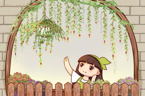窗户边养盆它,耐阴还开花,养成花帘子太美! 窗户边养盆它,耐阴还开花,养成花帘子太美!