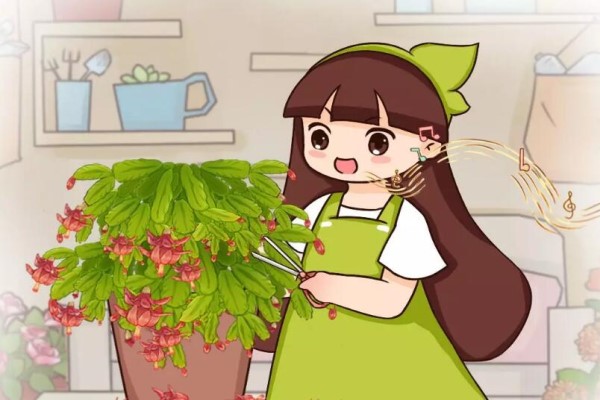 这花开完赶紧剪,20天又冒满头苞,一茬一茬拦不住! 这花开完赶紧剪,20天又冒满头苞,一茬一茬拦不住!