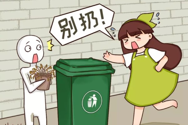 这花天一冷就假死,千万别扔了! 这花天一冷就假死,千万别扔了!