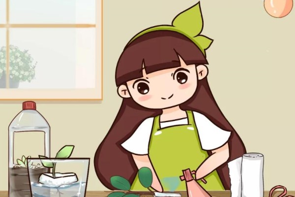 冬天扦插,用了这3种神器,成活率100%! 冬天扦插,用了这3种神器,成活率100%!