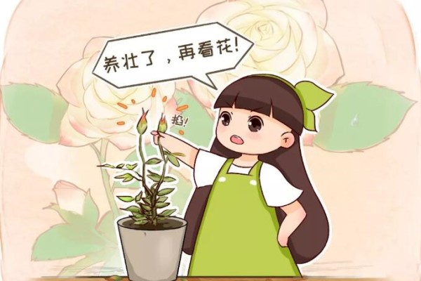 花又瘦又小,开花也得全摘光,不然三年不长个! 花又瘦又小,开花也得全摘光,不然三年不长个!
