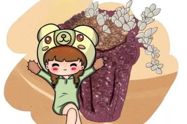 今年流行用它种多肉,看着就想咬一口,盆盆遭疯抢! 今年流行用它种多肉,看着就想咬一口,盆盆遭疯抢!
