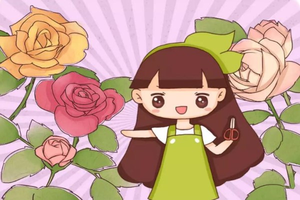 这花冬天必须剪,剪早剪晚都不行,错一步全死光! 这花冬天必须剪,剪早剪晚都不行,错一步全死光!