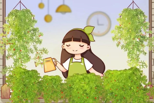 比文竹好养的武竹,沾点土就活,1个月长成2米绿帘子! 比文竹好养的武竹,沾点土就活,1个月长成2米绿帘子!